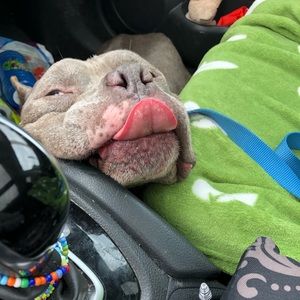 Meet your Posher, Sharon